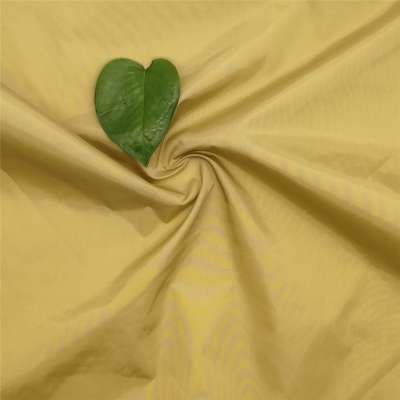 New product 360T Semi dull Nylon 100% nylon Shell fabric for garments